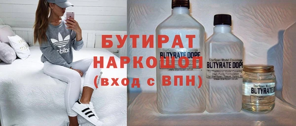 индика Надым
