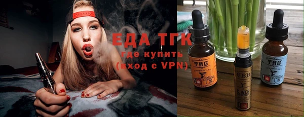 индика Надым