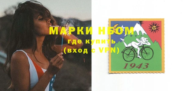 индика Надым