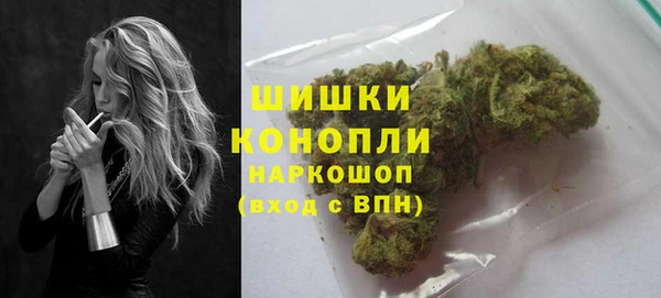 стаф Нея
