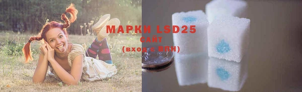 индика Надым