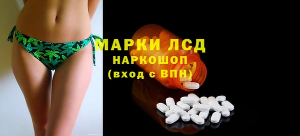 стаф Нея