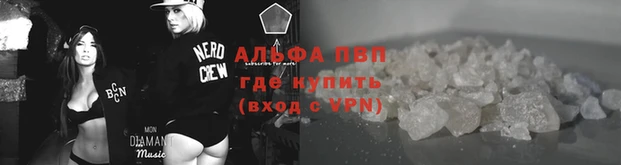стаф Нея
