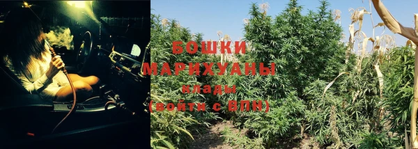 стаф Нея