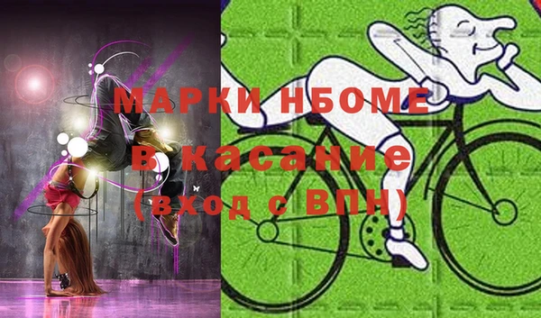 индика Надым
