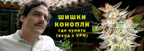стаф Нея