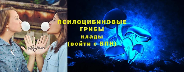 индика Надым