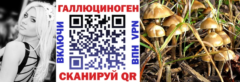 Галлюциногенные грибы Psilocybe  даркнет сайт  Полесск 